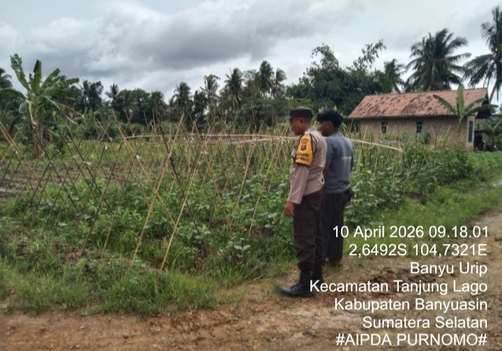 Bhabinkamtibmas Polsek Tanjung Lago Gerakkan P2B di Desa Banyu Urip Dukung Swasembada Pangan Nasional