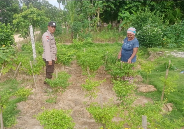 Polsek – Polsek Jajaran Polres Banyuasin Bersama Warga Menanam Sayur Dipekarangan Rumah